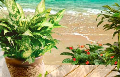 papier peint panoramique adhesif mer plage vacances palmiers 3d photo personnalisable nature tapisserie murale oliprint enfant decoration