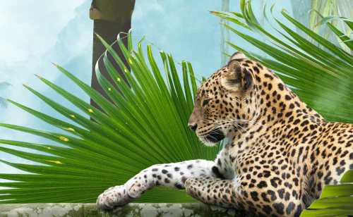 papiers peints panoramique foret tropicale jaguar palmier nature jungle vert bleu orange colore perspective 3d photo mur adhesif déco salon design